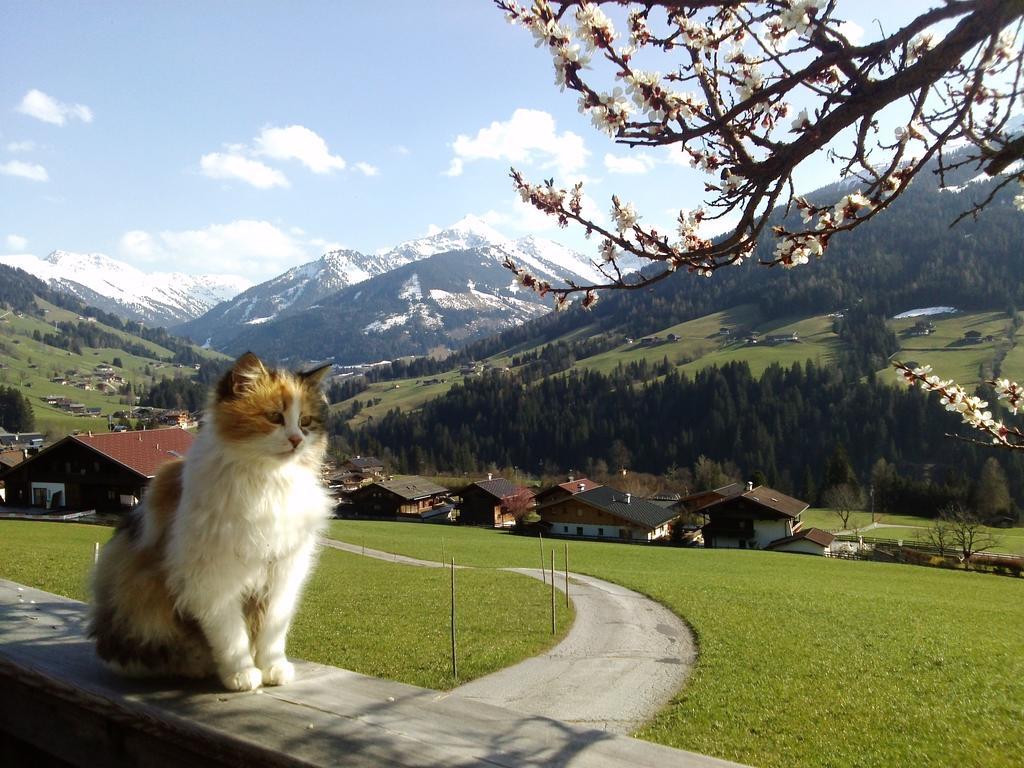 Heachhof Appartement Alpbach Buitenkant foto